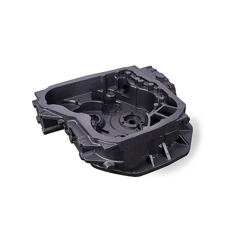 Vorderes Gehäuse aus Grauguss Vorderes Gehäuse aus Grauguss